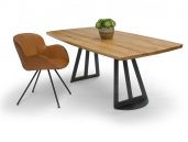 Bree's New World Butterfly