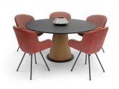 Bree's New World Butterfly