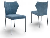 De Bree’s New World Fly