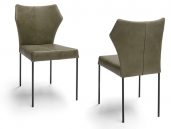 De Bree’s New World Fly