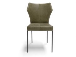 De Bree’s New World Fly