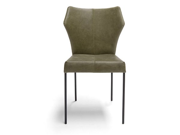 De Bree’s New World Fly