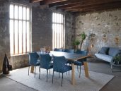 De Bree’s New World Fly