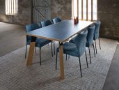 De Bree’s New World Fly