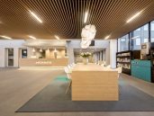 CSrugs Cameleon