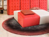 CSrugs Cameleon