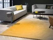CSrugs