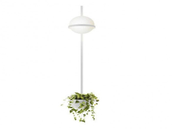 Vibia Palma