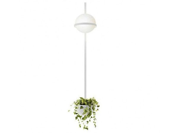 Vibia Palma